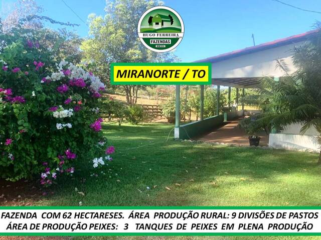 #7237 - Fazenda para Venda em Miranorte - TO - 1