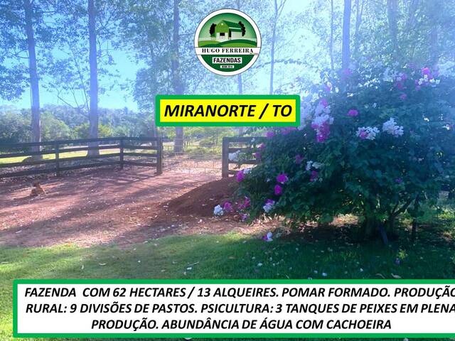 #7237 - Fazenda para Venda em Miranorte - TO - 2