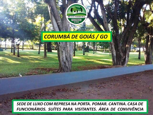 #7266 - Fazenda para Venda em Corumbá de Goiás - GO - 1