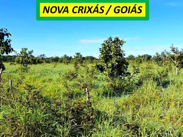 #7272 - Fazenda para Venda em Nova Crixás - GO - 1