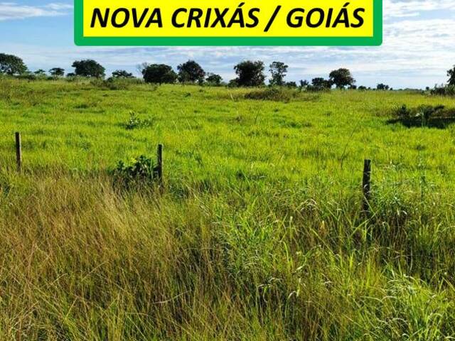 #7272 - Fazenda para Venda em Nova Crixás - GO - 2