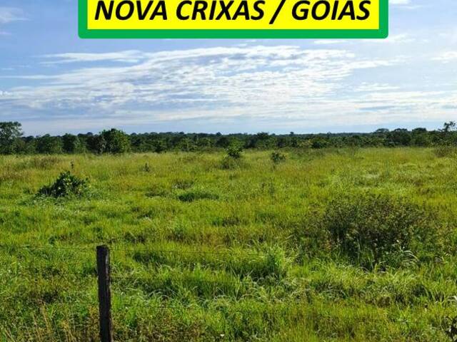 #7272 - Fazenda para Venda em Nova Crixás - GO - 3