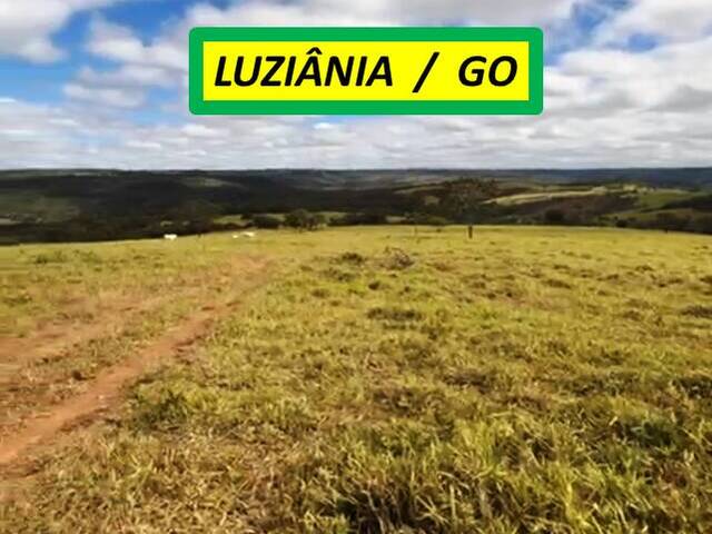 #7288 - Fazenda para Venda em Luziânia - GO - 3