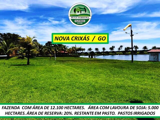 #7299 - Fazenda para Venda em Nova Crixás - GO - 3
