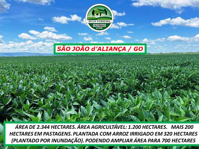 #7300 - Fazenda para Venda em São João d`Aliança - GO - 1