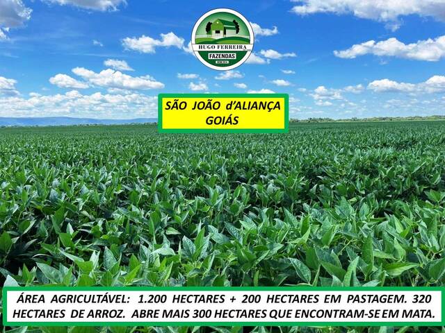 #7300 - Fazenda para Venda em São João d`Aliança - GO - 2