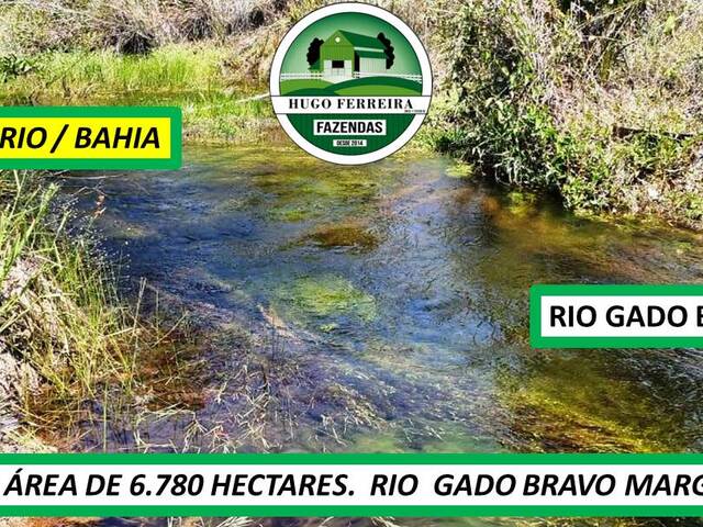 #7311 - Fazenda para Venda em São Desidério - BA - 3