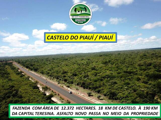 #7322 - Fazenda para Venda em Castelo do Piauí - PI - 2