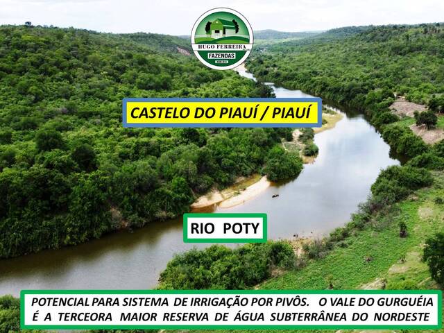 #7322 - Fazenda para Venda em Castelo do Piauí - PI - 3