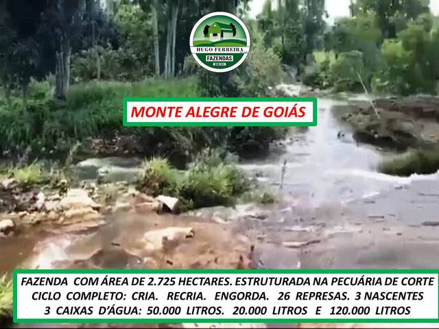 #7333 - Fazenda para Venda em Monte Alegre de Goiás - GO - 2