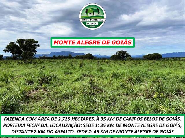 #7333 - Fazenda para Venda em Monte Alegre de Goiás - GO - 3
