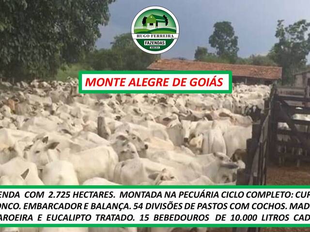 #7333 - Fazenda para Venda em Monte Alegre de Goiás - GO - 1