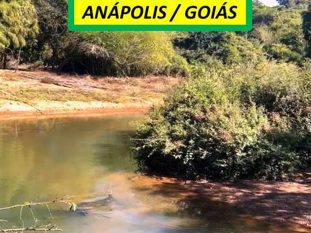 #7344 - Chácara para Venda em Anápolis - GO - 2