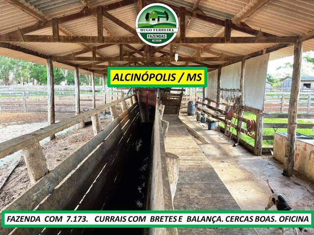 #7355 - Fazenda para Venda em Alcinópolis - MS - 3