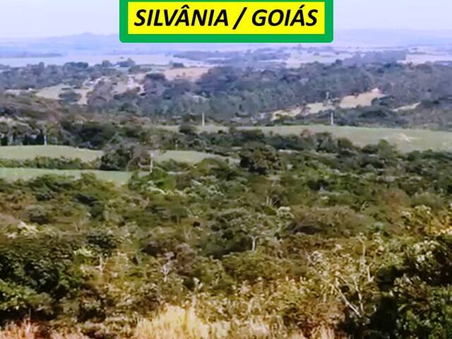 #7367 - Fazenda para Venda em Silvânia - GO - 1