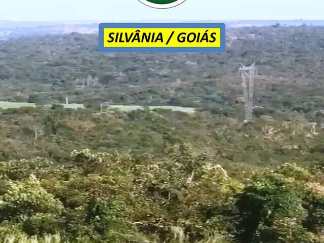 #7367 - Fazenda para Venda em Silvânia - GO - 3