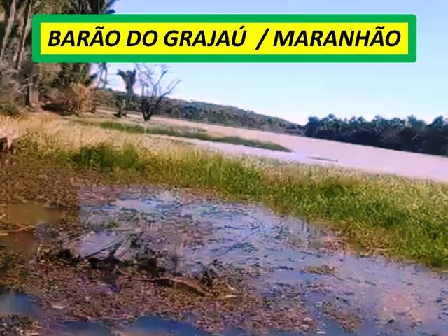 #7373 - Fazenda para Venda em Barão de Grajaú - MA - 2