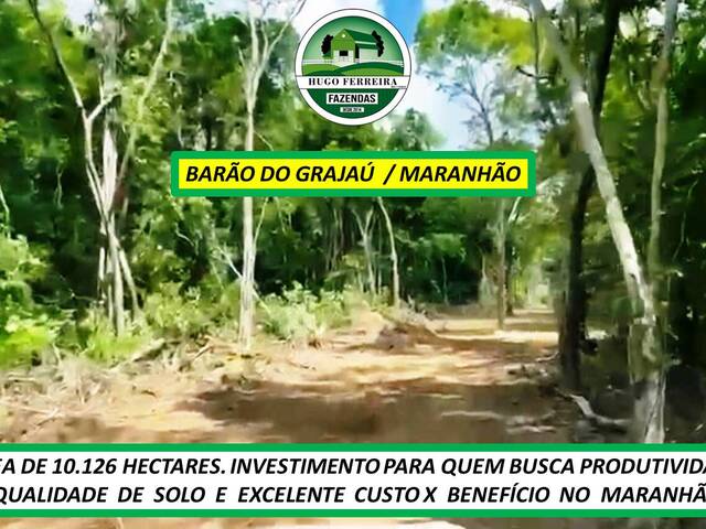 #7373 - Fazenda para Venda em Barão de Grajaú - MA - 3