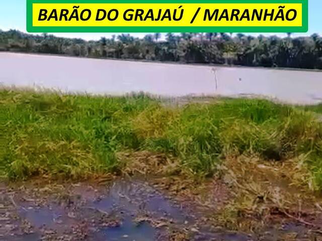 #7373 - Fazenda para Venda em Barão de Grajaú - MA - 1