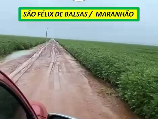 #7388 - Fazenda para Venda em São Félix de Balsas - MA - 3
