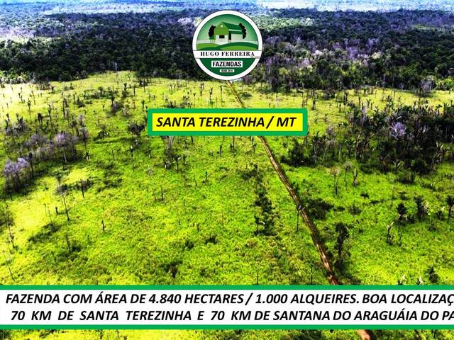 #7399 - Fazenda para Venda em Santa Terezinha - MT - 3