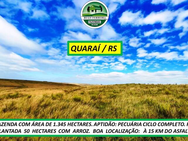 #7407 - Fazenda para Venda em Quaraí - RS - 3