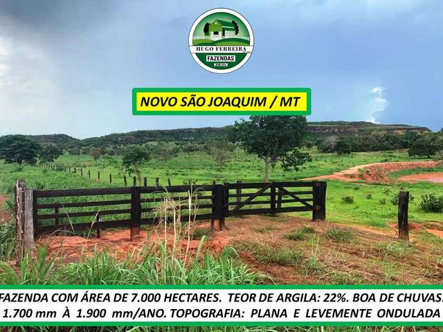 #7411 - Fazenda para Venda em Novo São Joaquim - MT - 1