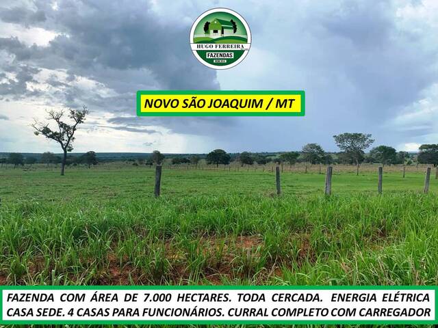#7411 - Fazenda para Venda em Novo São Joaquim - MT - 2