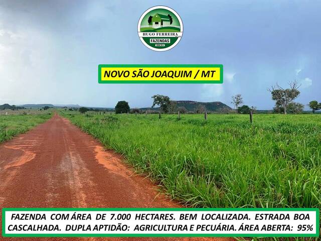 #7411 - Fazenda para Venda em Novo São Joaquim - MT - 3
