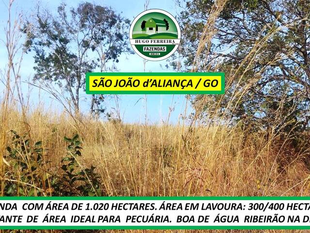 #7422 - Fazenda para Venda em São João d`Aliança - GO - 1