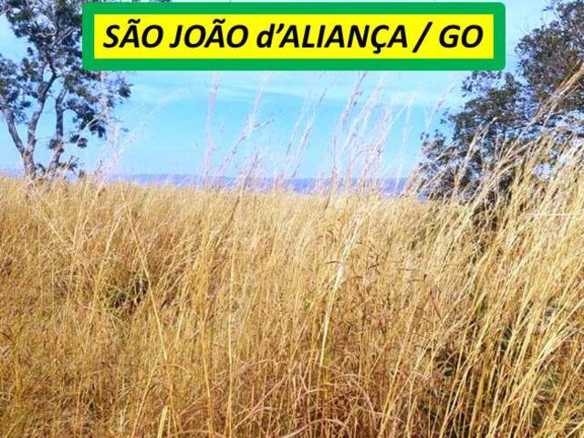 #7422 - Fazenda para Venda em São João d`Aliança - GO - 3