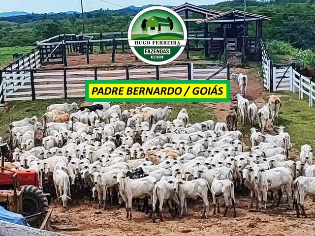 #7474 - Fazenda para Venda em Padre Bernardo - GO - 1
