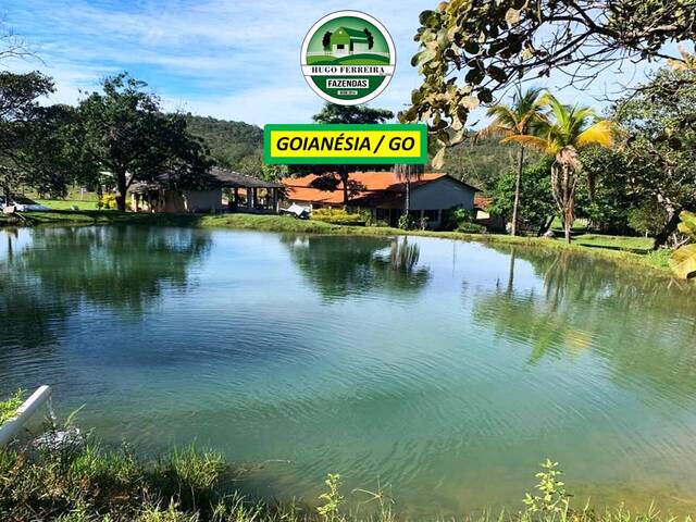 #7488 - Fazenda para Venda em Goianésia - GO - 2