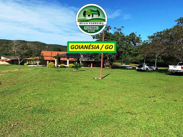 #7488 - Fazenda para Venda em Goianésia - GO - 3