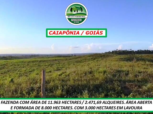 #7499 - Chácara para Venda em Caiapônia - GO - 3