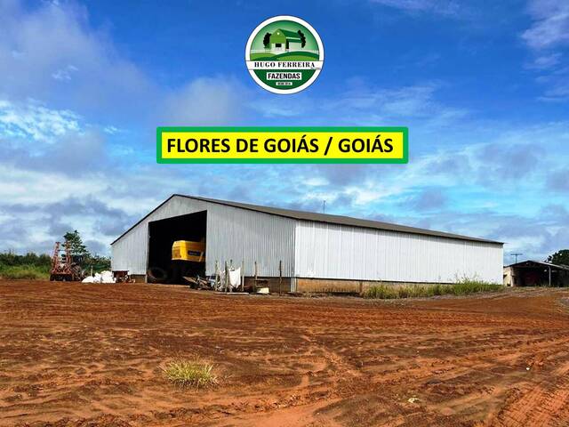 #7511 - Fazenda para Venda em Flores de Goiás - GO - 2