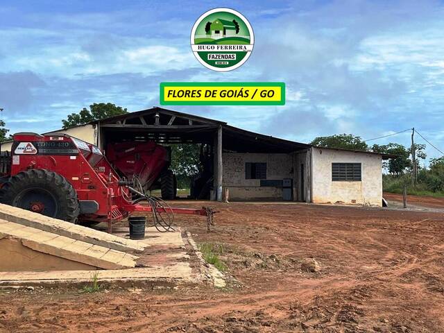 #7511 - Fazenda para Venda em Flores de Goiás - GO - 3