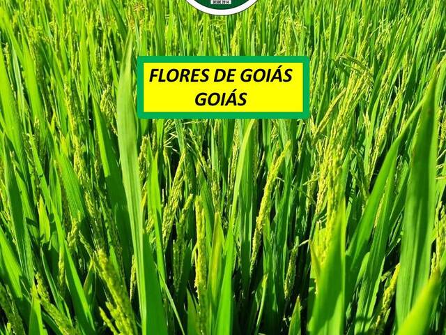#7511 - Fazenda para Venda em Flores de Goiás - GO - 1