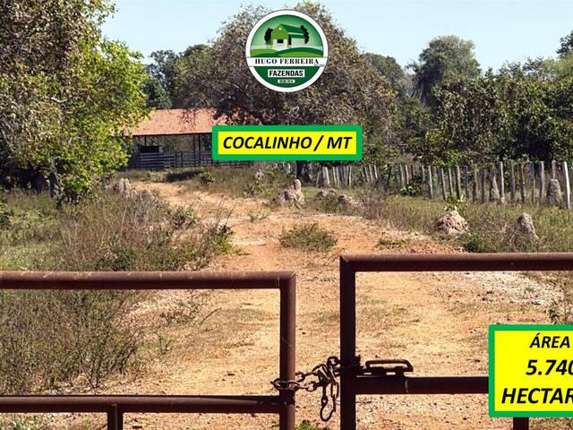#7522 - Fazenda para Venda em Cocalinho - MT - 3