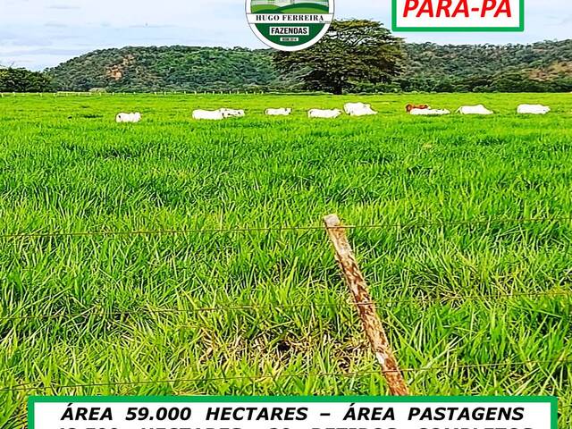 #7545 - Fazenda para Venda em São Félix do Xingu - PA - 2