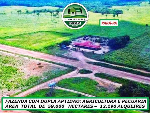 #7545 - Fazenda para Venda em São Félix do Xingu - PA - 1