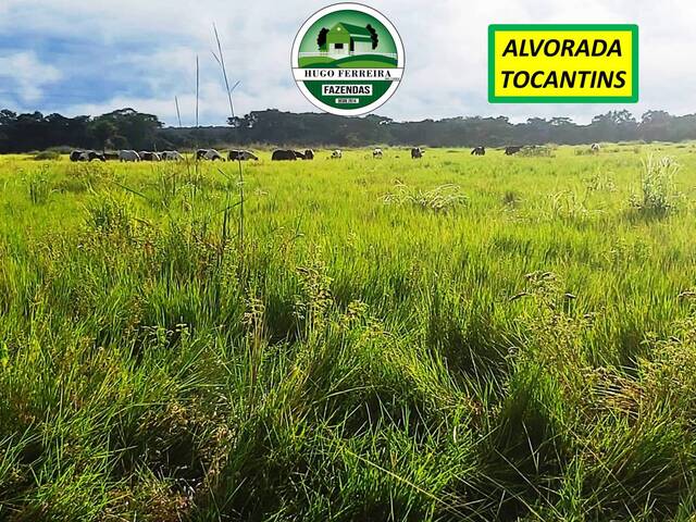 #7555 - Fazenda para Venda em Alvorada - TO - 2
