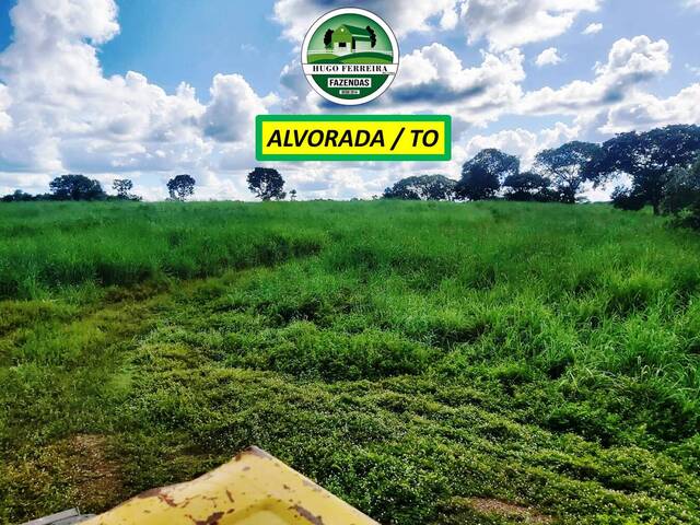 #7555 - Fazenda para Venda em Alvorada - TO - 3