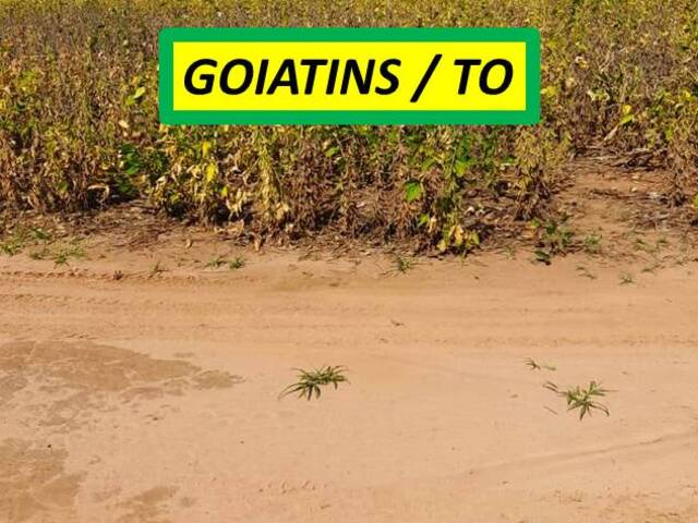 #7588 - Fazenda para Venda em Goiatins - TO - 2