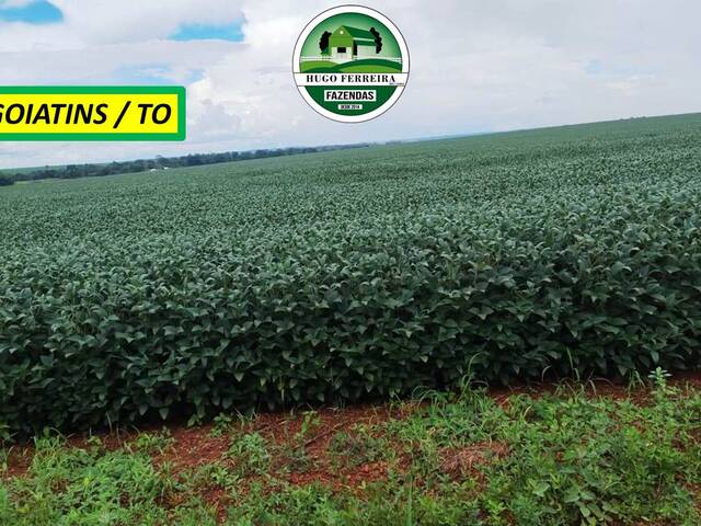 #7588 - Fazenda para Venda em Goiatins - TO - 1