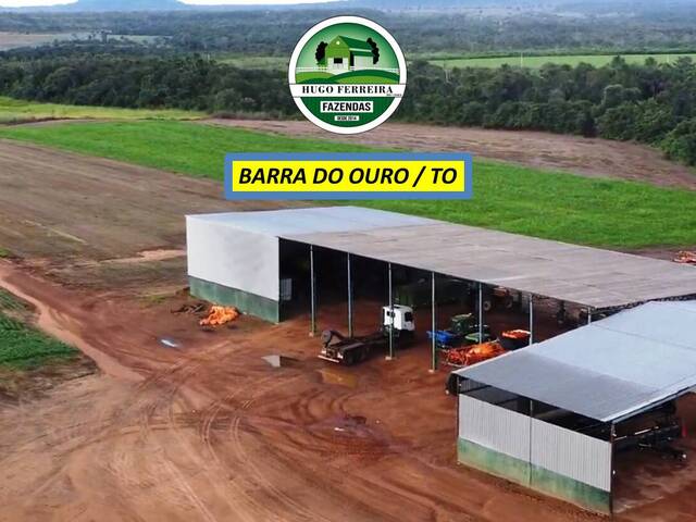 #7599 - Chácara para Venda em Barra do Ouro - TO - 2