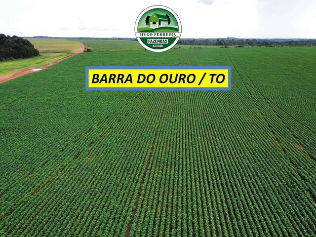 #7599 - Chácara para Venda em Barra do Ouro - TO - 1