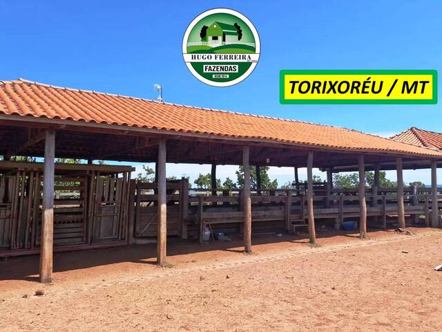 #7622 - Fazenda para Venda em Poxoréo - MT