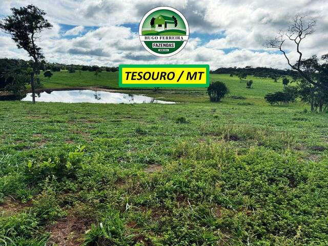 #7644 - Fazenda para Venda em Tesouro - MT - 2