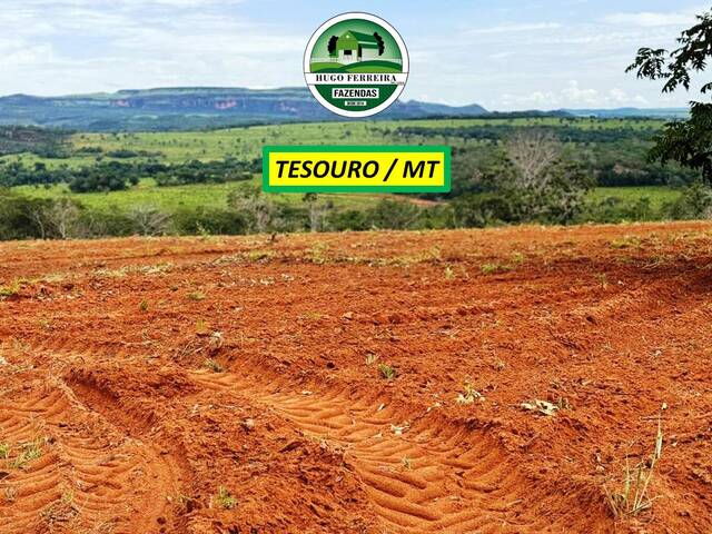 #7644 - Fazenda para Venda em Tesouro - MT - 3